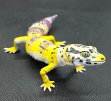 Boneco Bandai Gashapon Leopard Gecko 7 polegadas grande realista frete grátis do Japão comprar usado  Enviando para Brazil