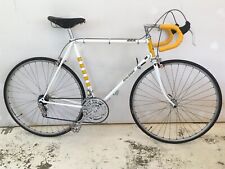 Vintage 1973 raleigh for sale  Edgecomb