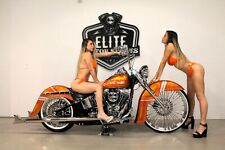 2016 Harley-Davidson Heritage Softail Classic FLSTC Cholo Vicla  comprar usado  Enviando para Brazil