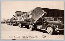 log truck company for sale  Sebring