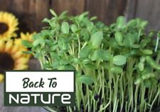 Semillas microverdes de girasol para brotar - ¡Crece rápido! - Saludable y delicioso segunda mano  Embacar hacia Argentina