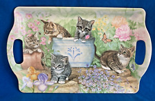 Cute kittens stow for sale  WIMBORNE