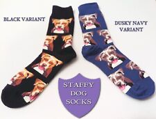 Staffy dog socks for sale  STAFFORD