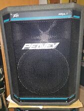 Peavey hisys 12inch for sale  WINDERMERE