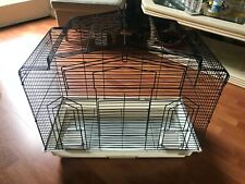 Bird cage parrots for sale  LONDON