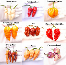 hottest chilli seeds for sale  UK