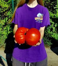 Big zac tomato for sale  Salem