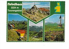 B146 nebelhorn tourengebiet gebraucht kaufen  Petersberg, Wettin-Löbejün