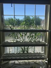 Hydroponics growing system for sale  Franklin Park
