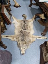 Tierpräparat wolfsfell cites gebraucht kaufen  Eppendorf