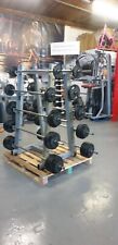 2.5 KG TO 37.5KG  TECHNOGYM BARBELLS AND RACK Commercial Gym Equipment  for sale  Shipping to South Africa
