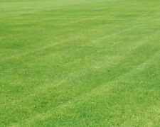 smartedge lawn edging for sale  Shipping to Ireland