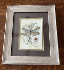 Regal dragonfly framed for sale  Dodge Center