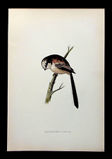Long tailed titmouse for sale  ILKLEY
