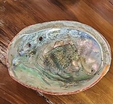 Green Abalone Sea Shell Haliotis Iris One Side Polished Beach Craft 8"X6", used for sale  Shipping to South Africa