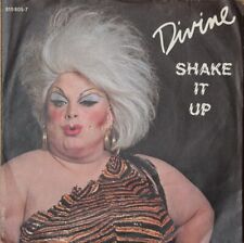 Divine – Shake It Up Singel VG/VG segunda mano  Embacar hacia Mexico