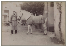 Farm horse vintage d'occasion  Expédié en Belgium