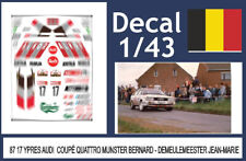 Decal rally ypres usato  Catania