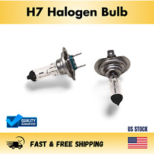Halogen headlight bulb for sale  Brooklyn