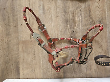 Leather horse halter for sale  Terre Haute