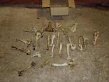 Sheep bones variety for sale  PENRITH