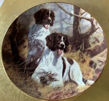 Dog springer spaniel for sale  DERBY