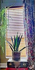 2 4 curtains panels for sale  San Antonio