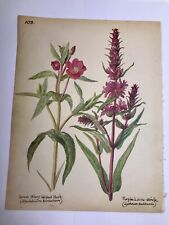 103 vintage botanical for sale  CHESSINGTON