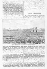 Plantes envahissantes jacinthe d'occasion  Ouzouer-sur-Loire
