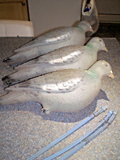 enforcer pigeon decoys for sale  WISBECH