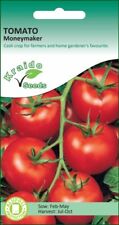 Tomato seeds moneymaker for sale  DEREHAM