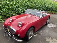 Austin healey frog for sale  PONTYPRIDD