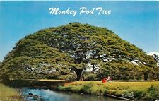 Monkey pod tree for sale  Southampton