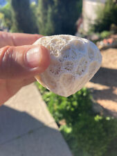 Natural white brain for sale  Santa Barbara