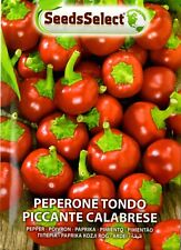 150 semi peperone usato  Morra De Sanctis