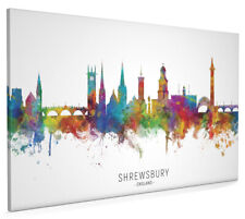 Shrewsbury skyline poster for sale  UK