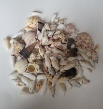 Sea shells lot for sale  Orange