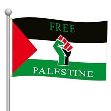 Bandiera della palestina usato  Castel San Giovanni