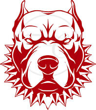 Pit bull dog for sale  Baxter
