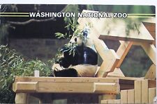 Cartão postal antigo vintage Washington DC National Zoo Panda Bear visualização de cartão PC padrão comprar usado  Enviando para Brazil