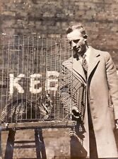 1920 pet wildcat d'occasion  Expédié en Belgium