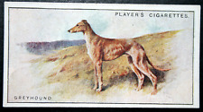 Greyhound vintage 1925 for sale  DERBY