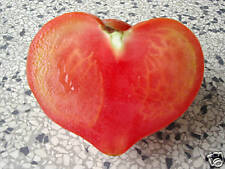Semi pomodoro cuore usato  Italia