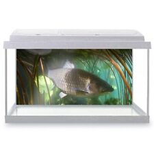 Fish tank background for sale  Shipping to Ireland
