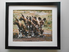 Wildlife print hunting for sale  YORK