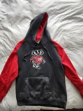 wisconsin badgers sweatshirt for sale  Franklin