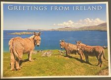 Real ireland postcard for sale  Ireland