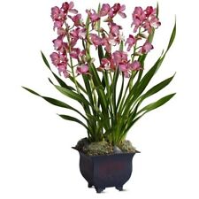 Cymbidium orchid spike for sale  SOUTHAMPTON