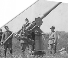 61b reggimentale artiglieria usato  Lugo