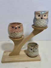 Owl succulent pots for sale  Tacoma